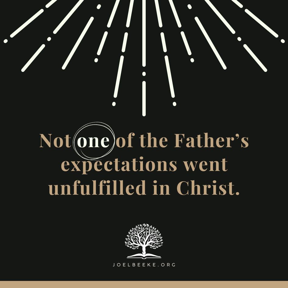 Featured image for “Christ came to do the will of The Father”