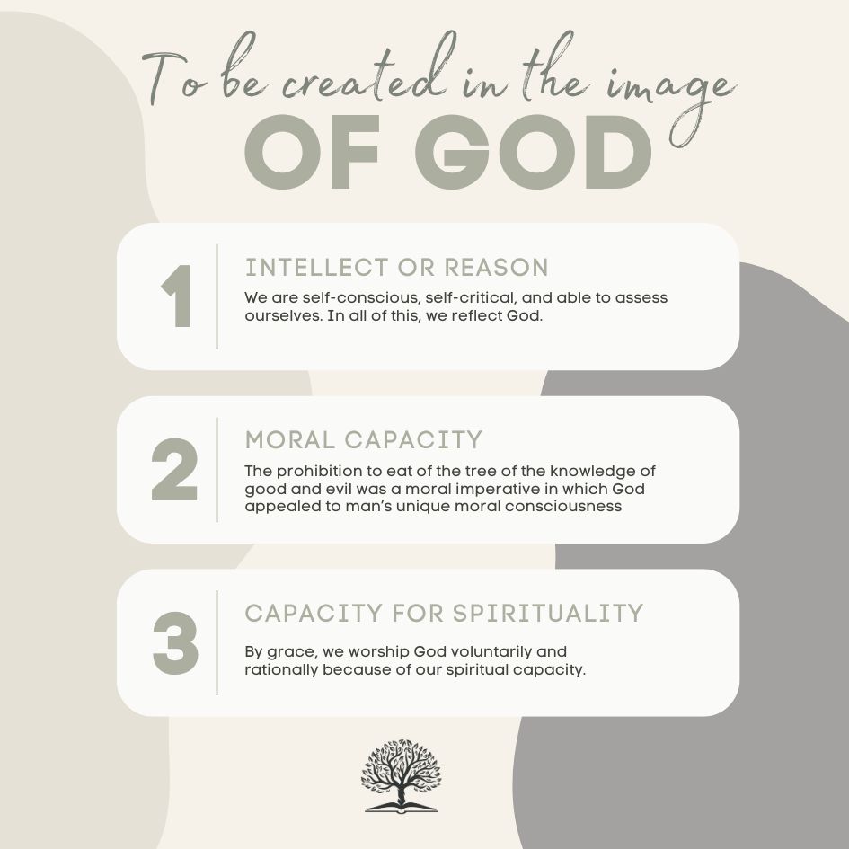 Featured image for “What does it mean to be created in the image or likeness of God?”