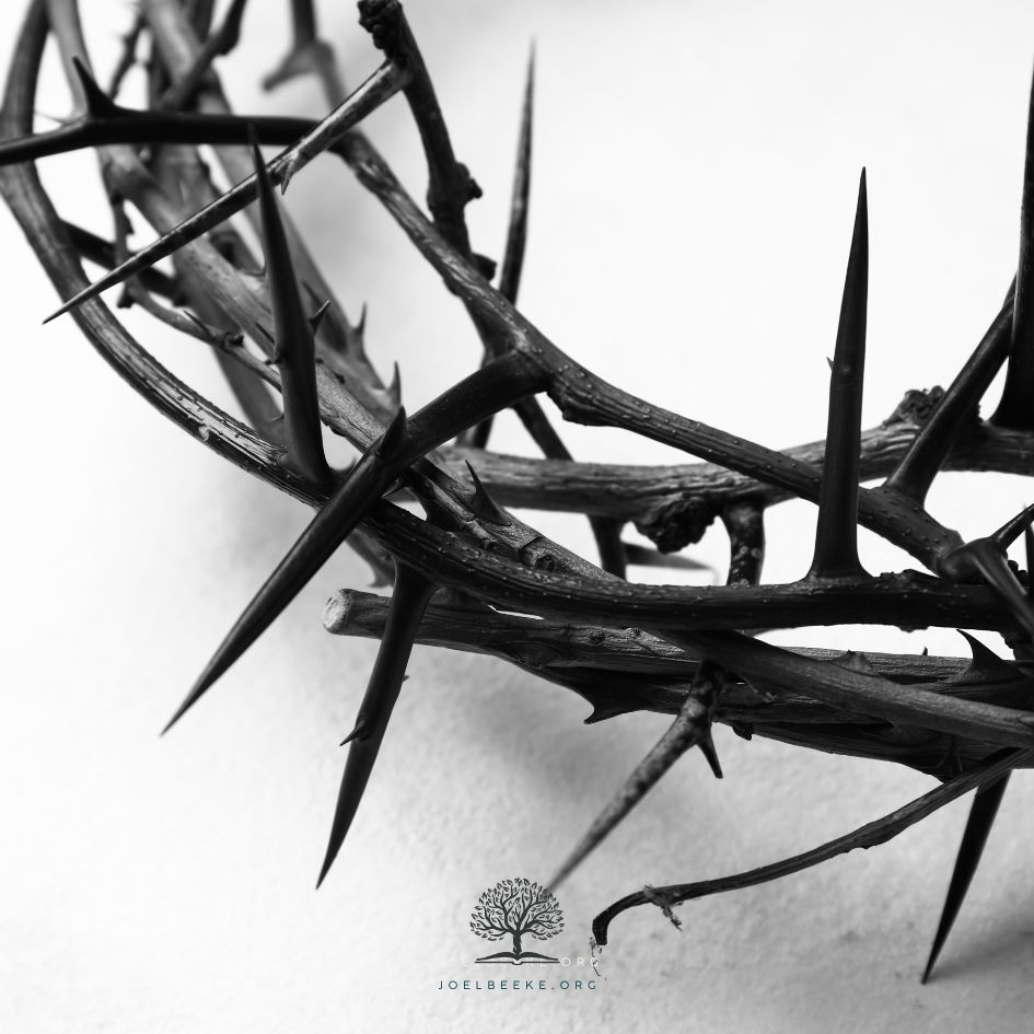 Featured image for “Jesus’ Crown of Thorns”