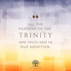The Trinitarian Foundation of Adoption Joel Beeke
